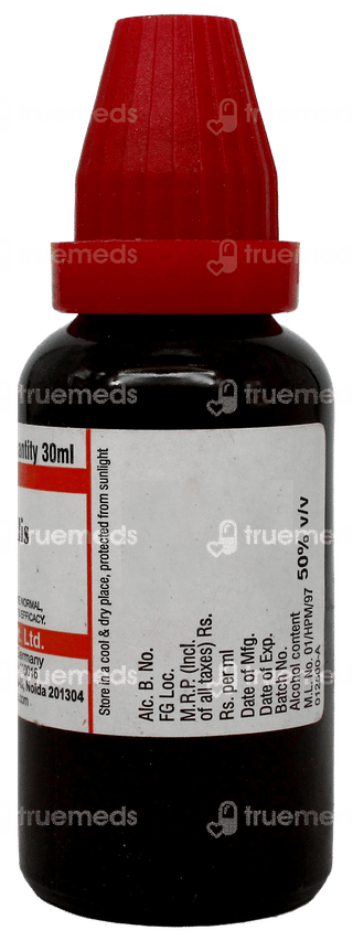 Dr Willmar Schwabe India Adonis Vernalis Q Mother Tincture 30 ML
